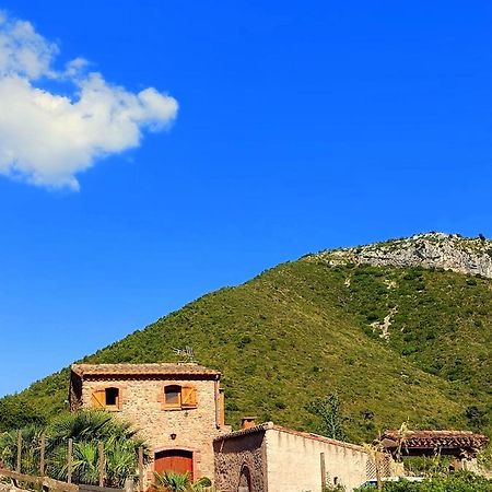 Corral D'En Romagosa Casa de hóspedes Begues Exterior foto